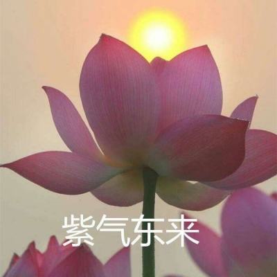燃烧战歌百度版下载
